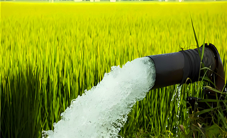 Agricultural Irrigation