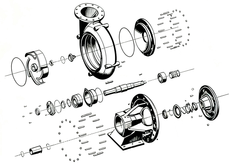 Structure of Magnum XP Pumps