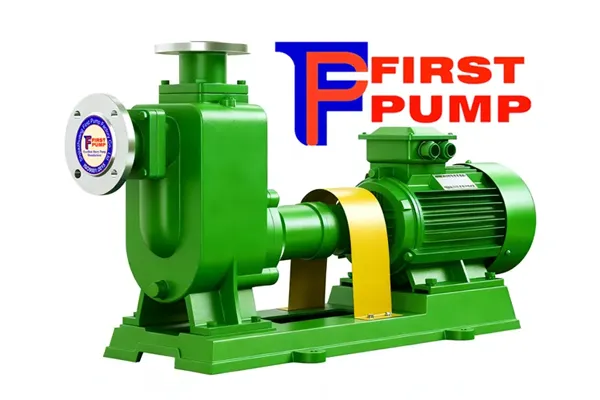 Sewage Pump vs. Sump Pump: Choosing the Right Protection